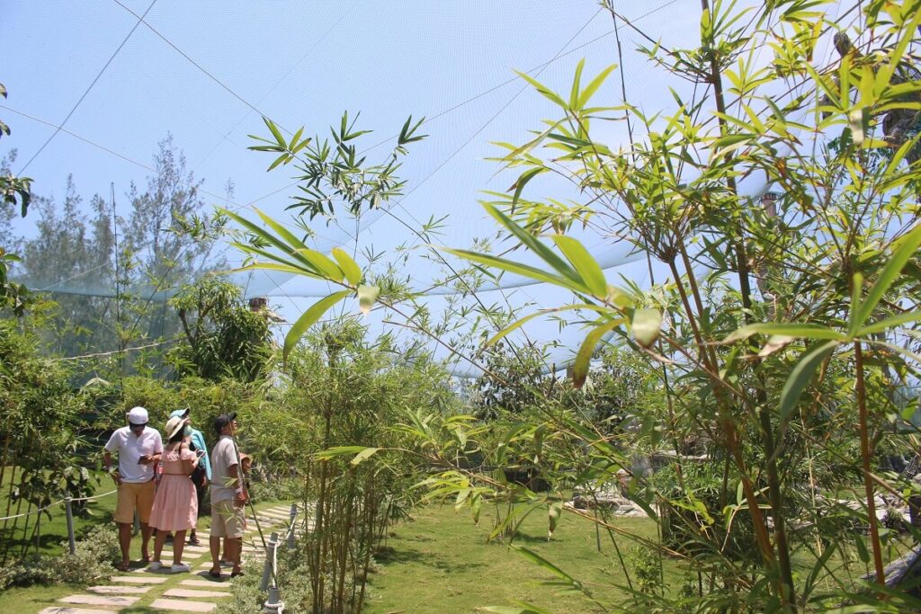 FLC Zoo Safari Park Quy Nhơn 2