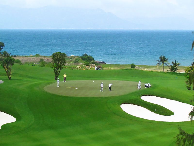 FLC Quy Nhơn Resort Golf Links- Đặt sân golf, combo tour rẻ